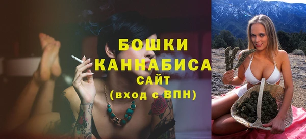 шишки Белоозёрский