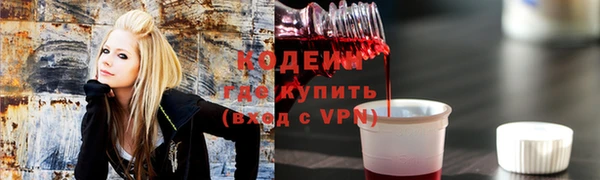 шишки Белоозёрский
