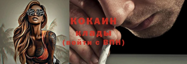 шишки Белоозёрский
