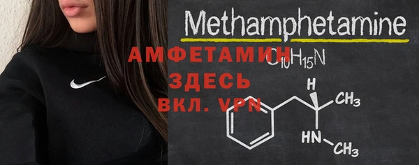 шишки Белоозёрский