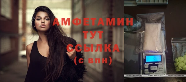 шишки Белоозёрский