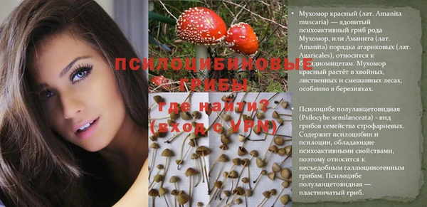 шишки Белоозёрский