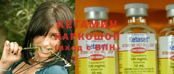 шишки Белоозёрский